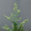 6 ft Christmas tree