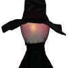 Halloween Black Witches with Change Colors