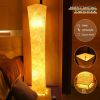 Floor Lamp with RGB Color Changing LED, Alexa & Google Home, Music Sync and Multi Scene Modes, Standing Lamp