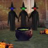 Halloween Black Witches with Change Colors