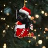 1pc,Acrylic Christmas Hat Cat,Unusual,Cheap,Scene Decoration,Room Decoration,Home Decoration, Indoor Decoration,Outdoor Decoration,Garden Decoration