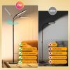 LED Floor Lamp,18W Super Bright, Adjustable Stepless Colors & Brightness Gooseneck, Eye Caring Reading with Remote& Touch Control